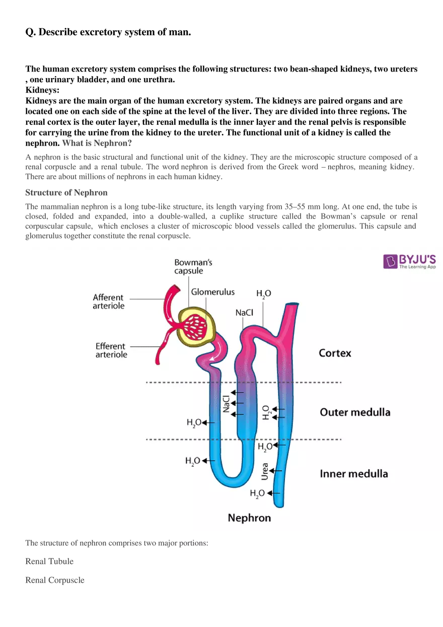 Respiration (Botany) - Page 26