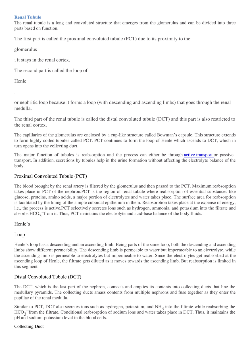 Respiration (Botany) - Page 27