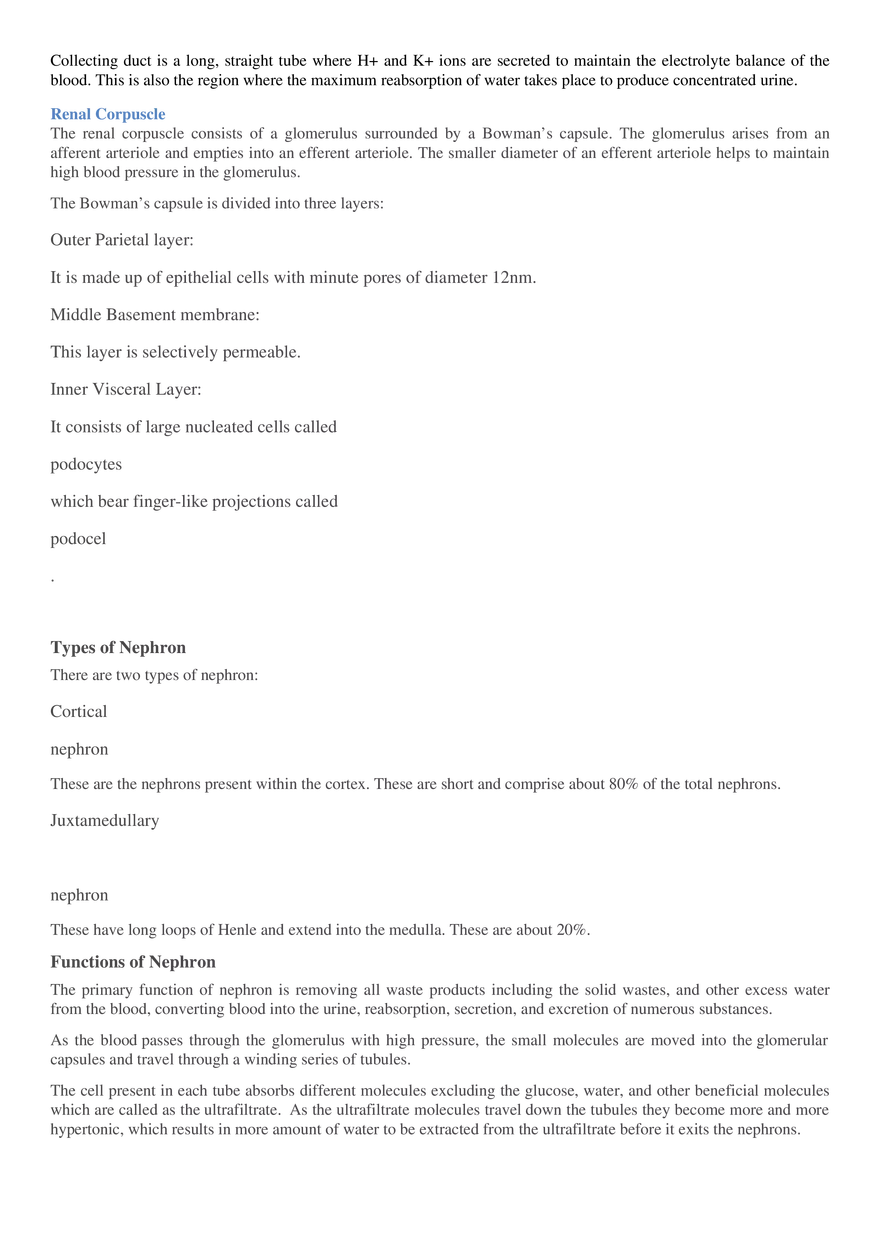 Respiration (Botany) - Page 28