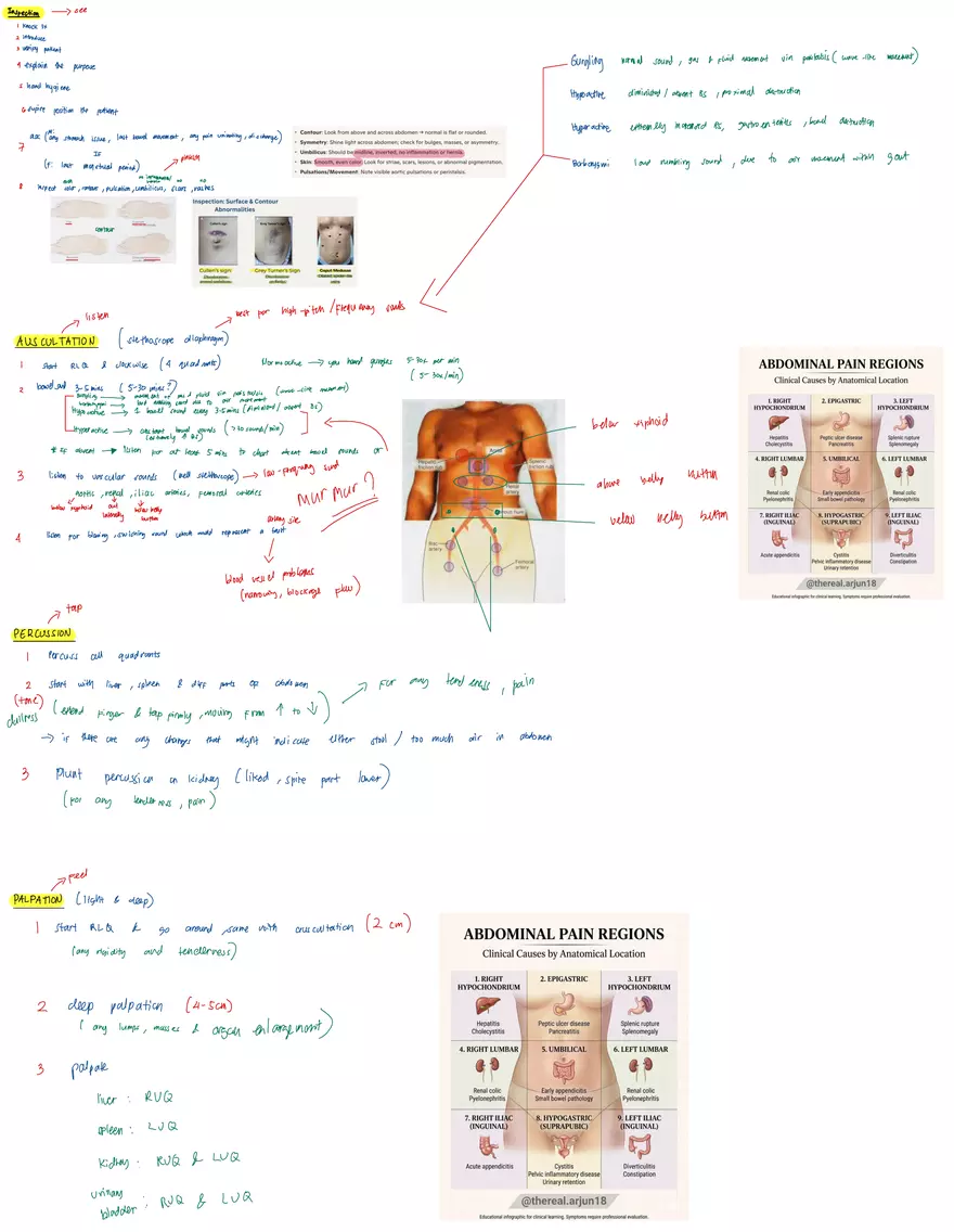 Abdomen Assessment : Checklist - Page 3