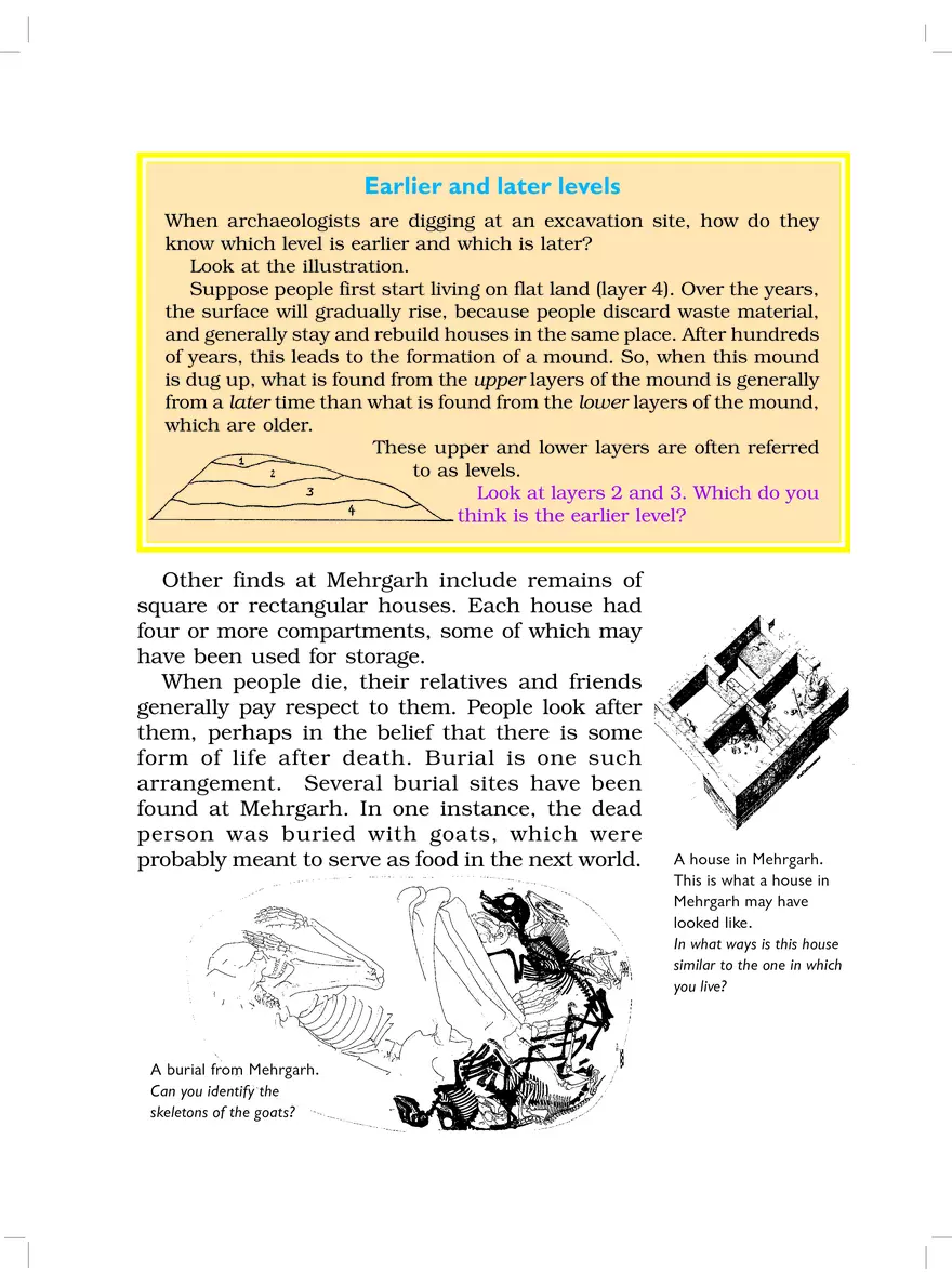 From Gathering to Growing Food - Page 8