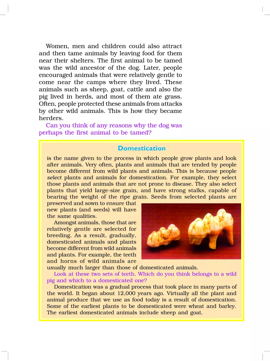 From Gathering to Growing Food - Page 2