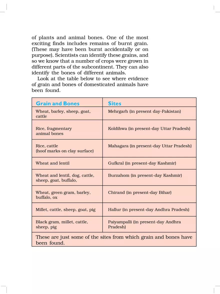 From Gathering to Growing Food - Page 4