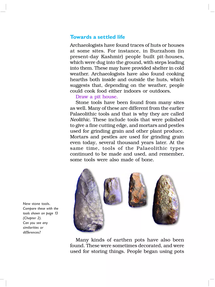 From Gathering to Growing Food - Page 5