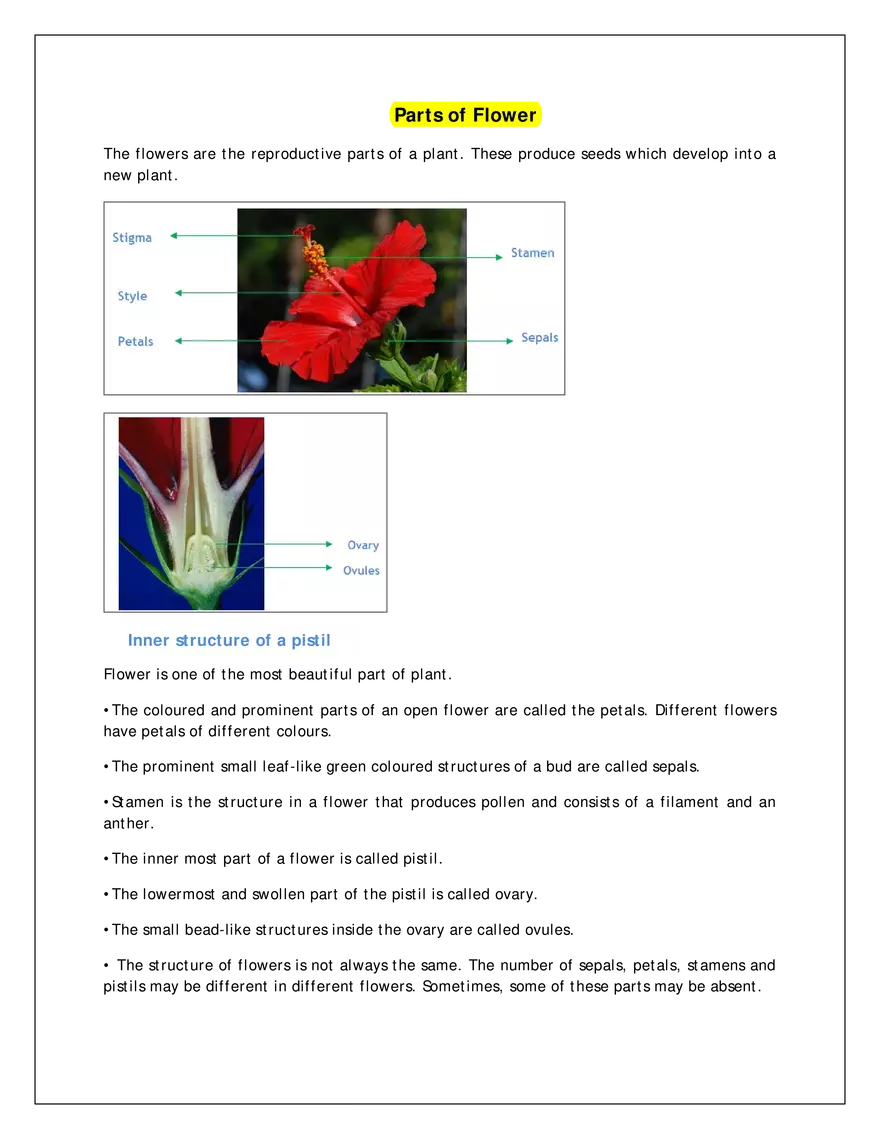 Parts of Flower - Page 1