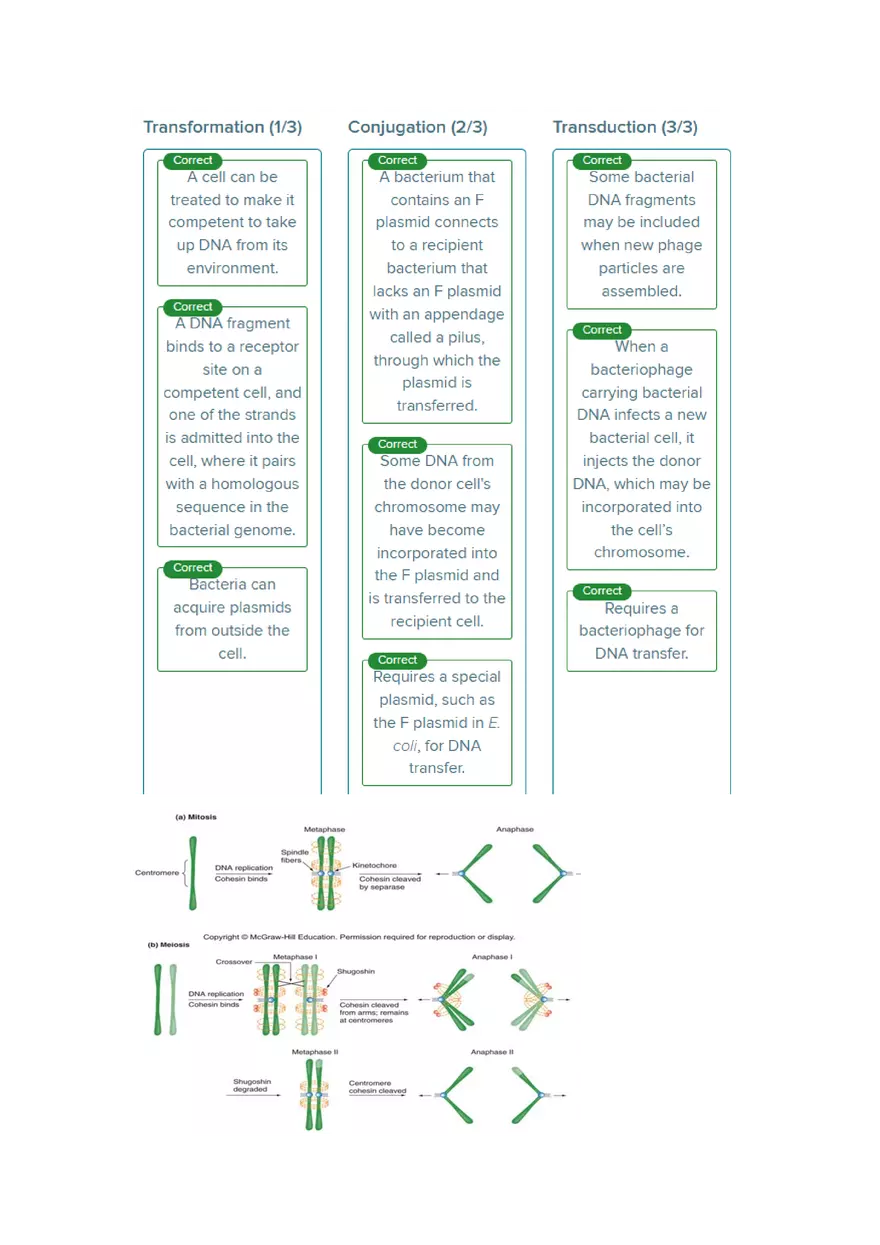 Exam #2 - Cheat Sheet - Page 8