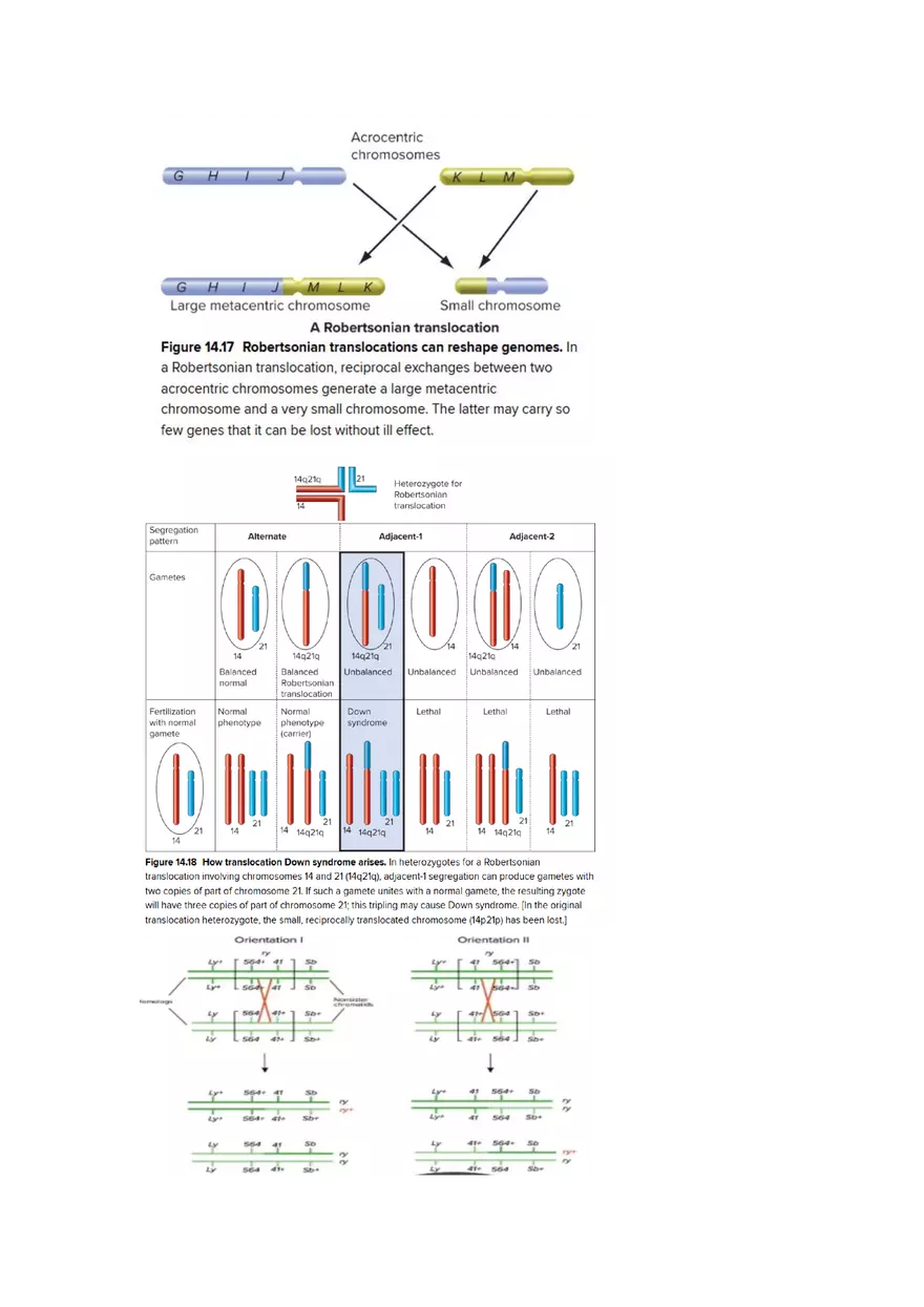 Exam #2 - Cheat Sheet - Page 9