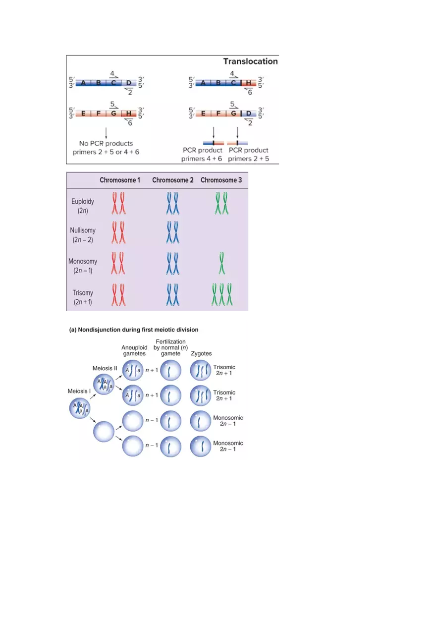 Exam #2 - Cheat Sheet - Page 10