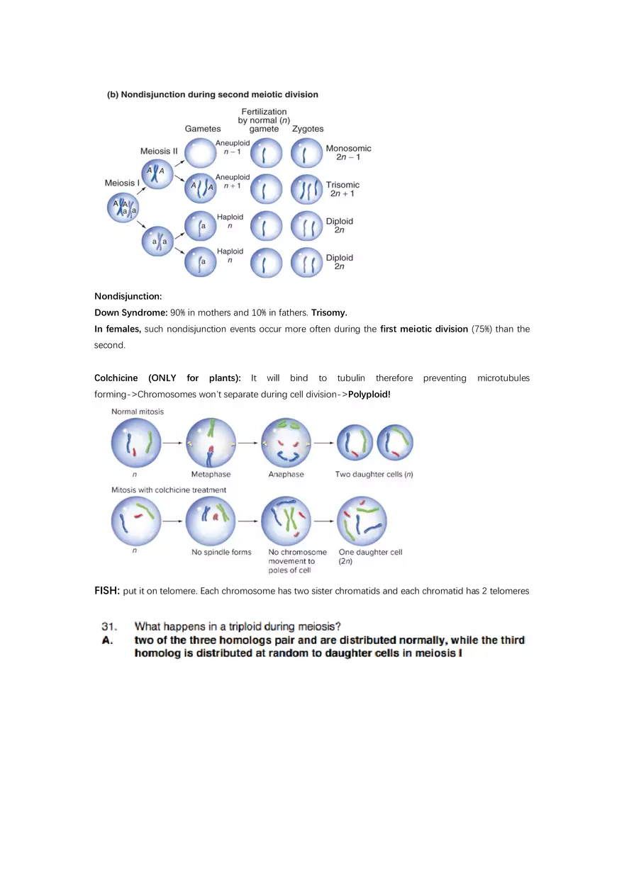Exam #2 - Cheat Sheet - Page 11