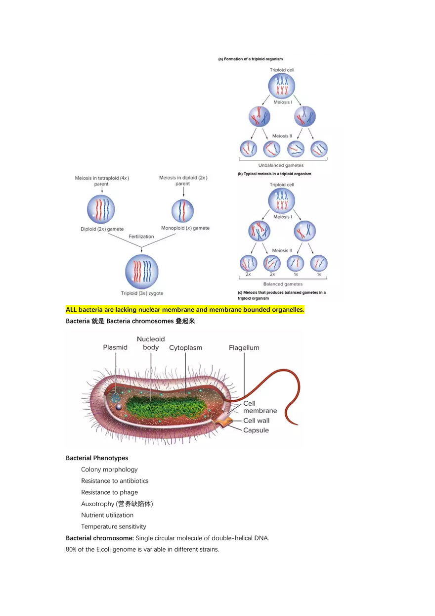 Exam #2 - Cheat Sheet - Page 13