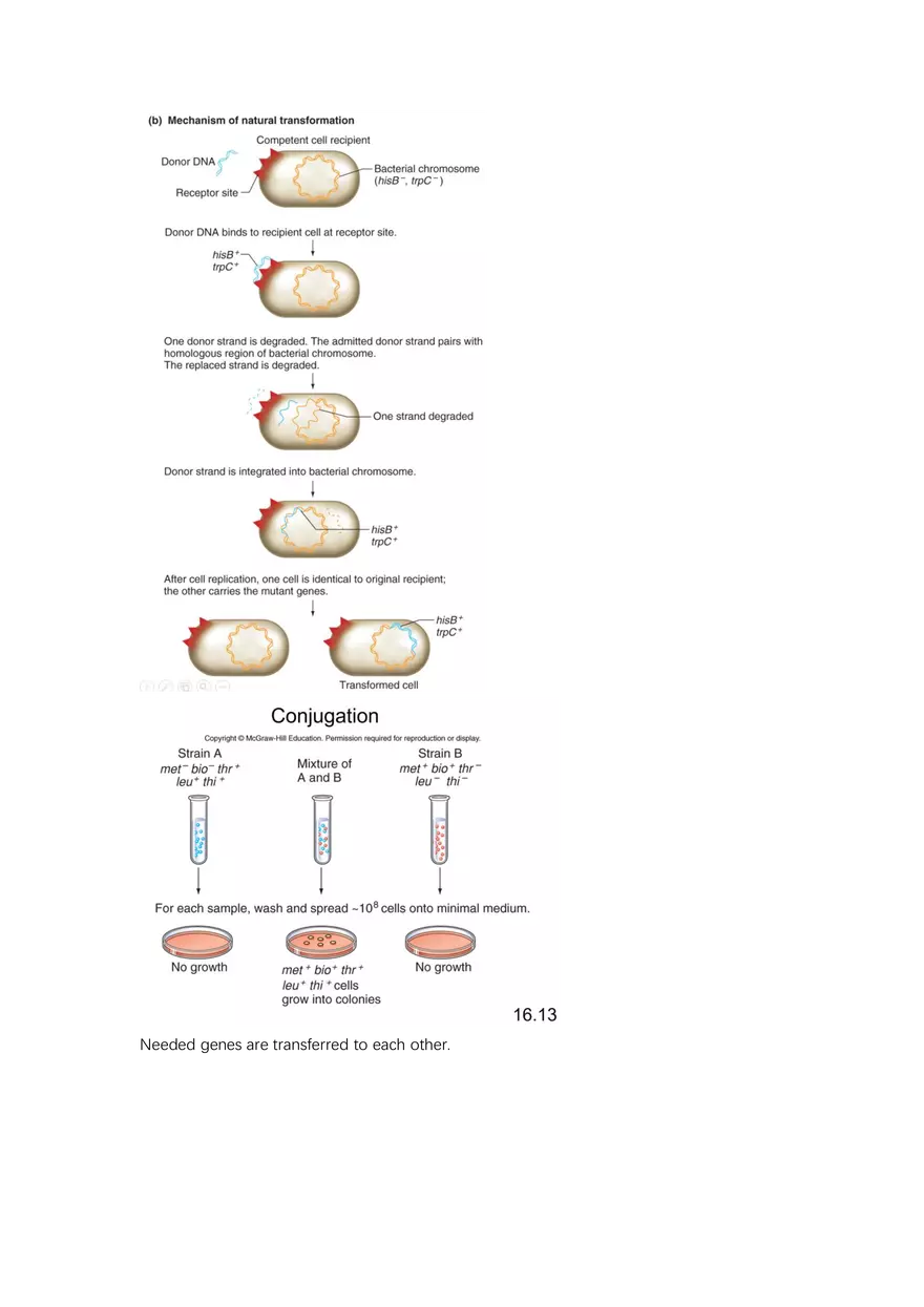 Exam #2 - Cheat Sheet - Page 15