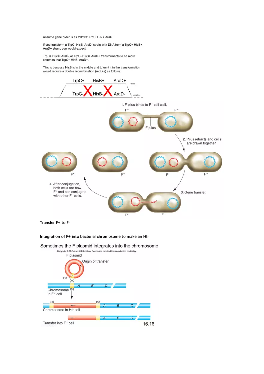 Exam #2 - Cheat Sheet - Page 16