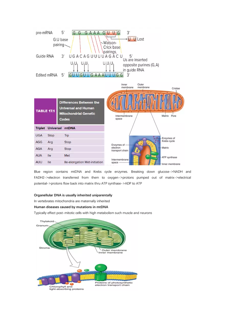 Exam #2 - Cheat Sheet - Page 4