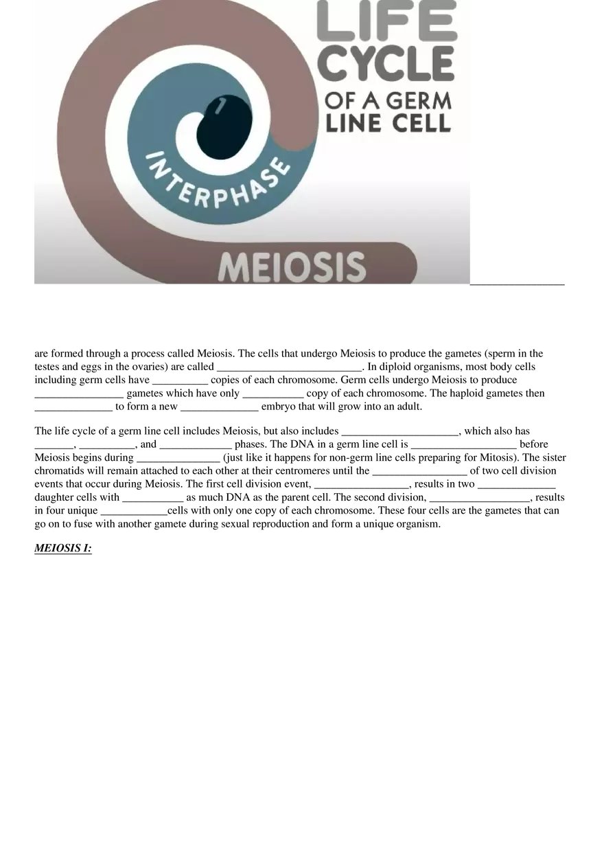 Meiosis Video Guided Notes Packet - Page 3