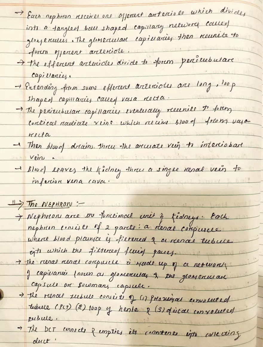 Unit 19-3 Renal Physiology - Page 7