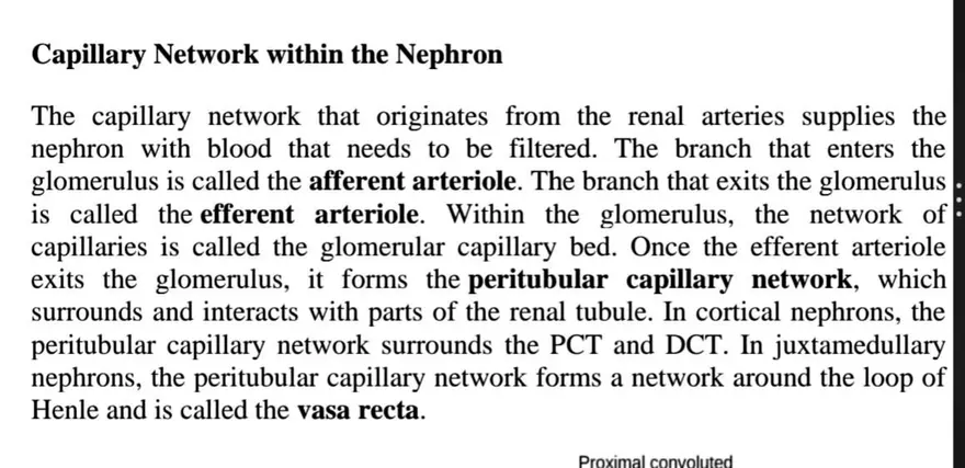 Unit 19-3 Renal Physiology - Page 9