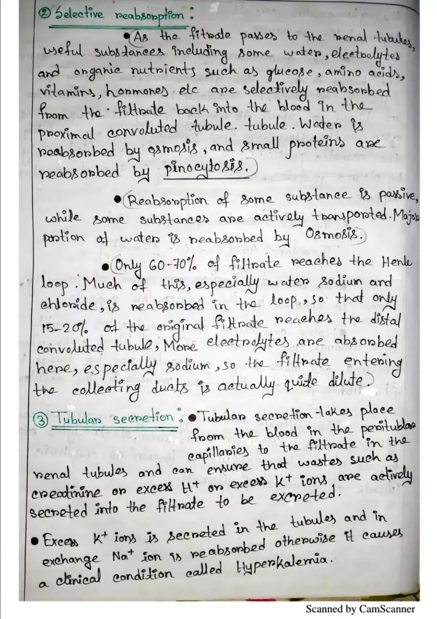 Unit 19-3 Renal Physiology - Page 12