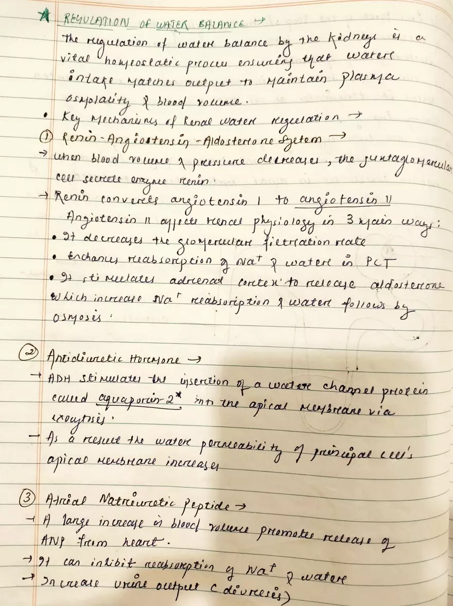 Unit 19-3 Renal Physiology - Page 14
