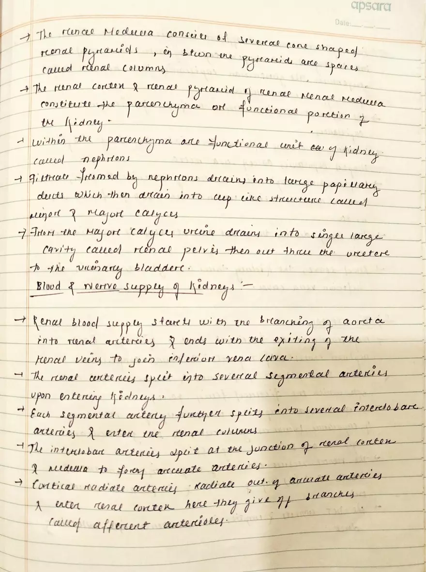 Unit 19-3 Renal Physiology - Page 2