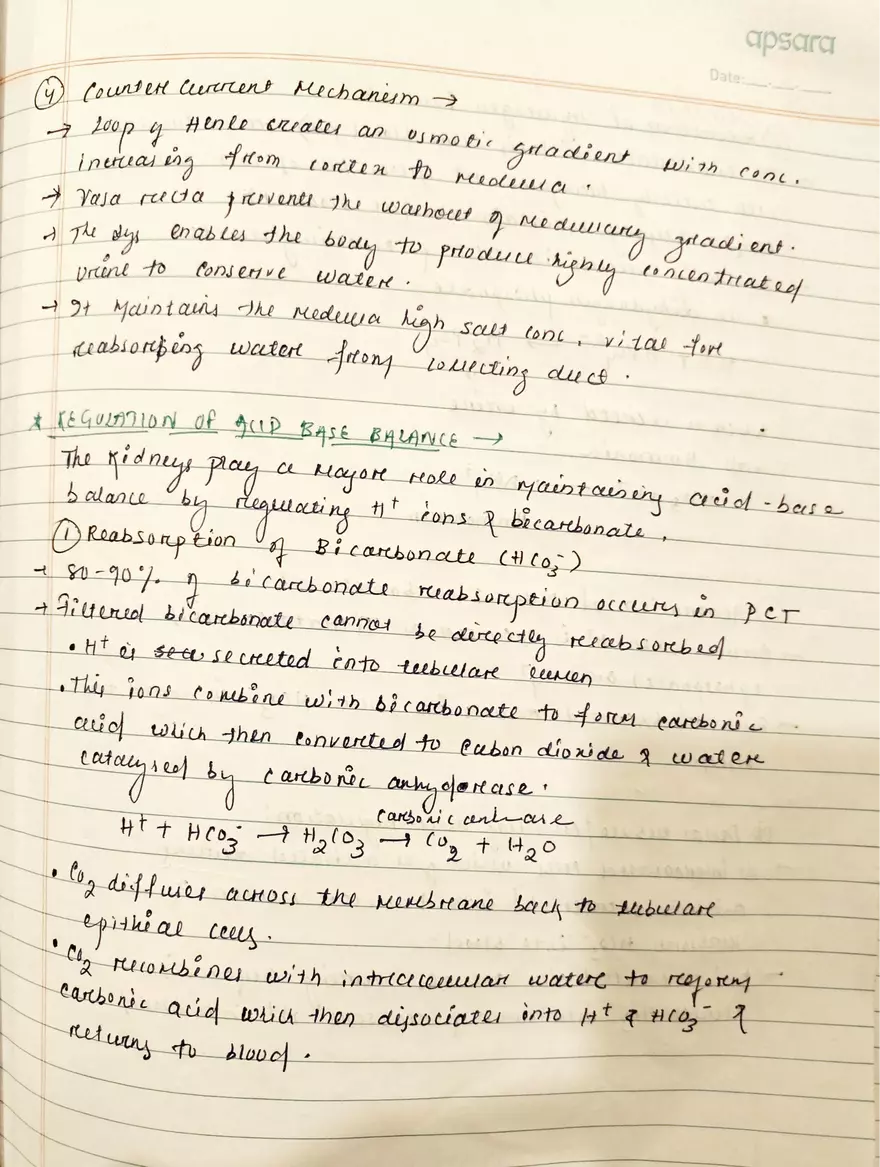 Unit 19-3 Renal Physiology - Page 3