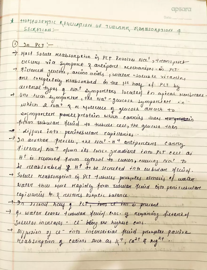 Unit 19-3 Renal Physiology - Page 5