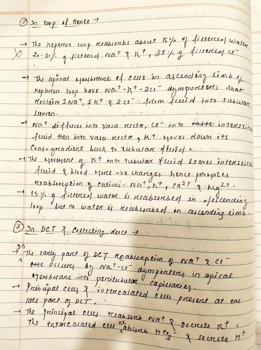 Unit 19-3 Renal Physiology - Page 6