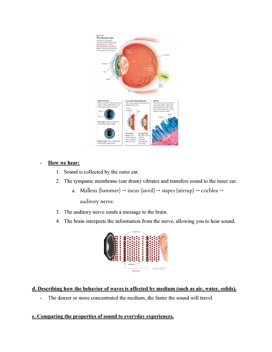 Physical Science Study Guide Notes - Page 9