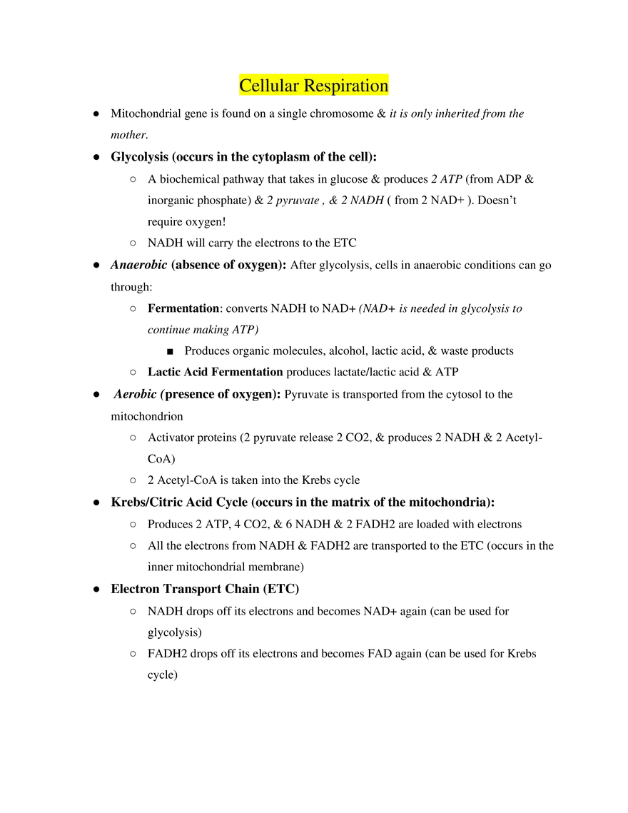 AP Biology Cellular Respiration - Page 1