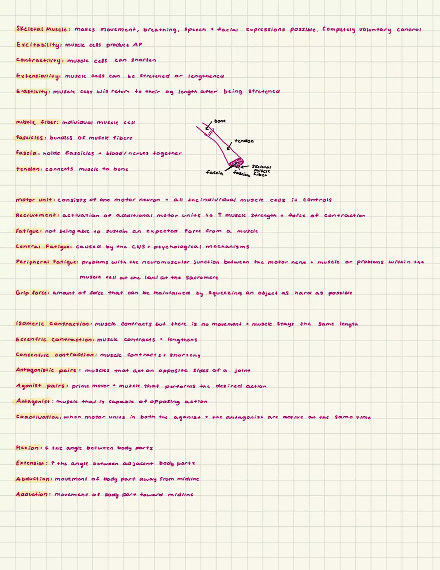 Chapter 8: Muscle - Page 1