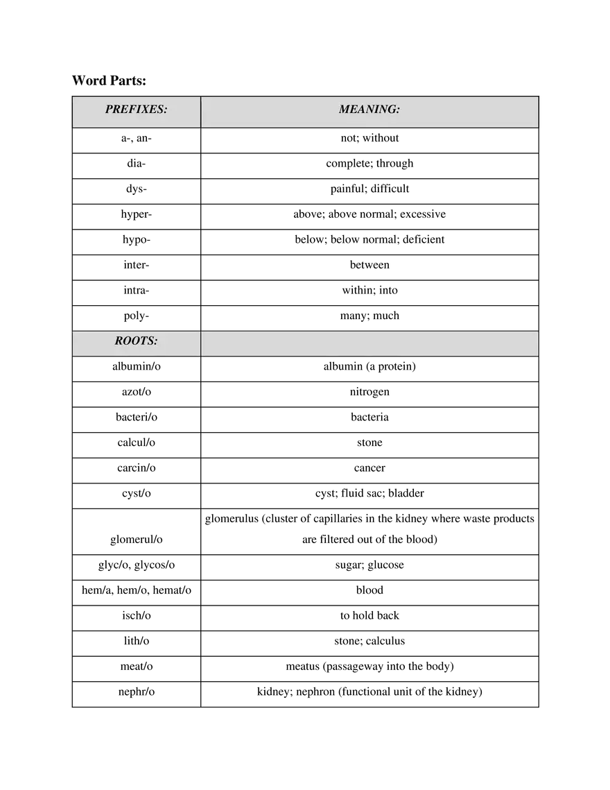 Medical Terminology Unit 11 Urinary System - Page 2