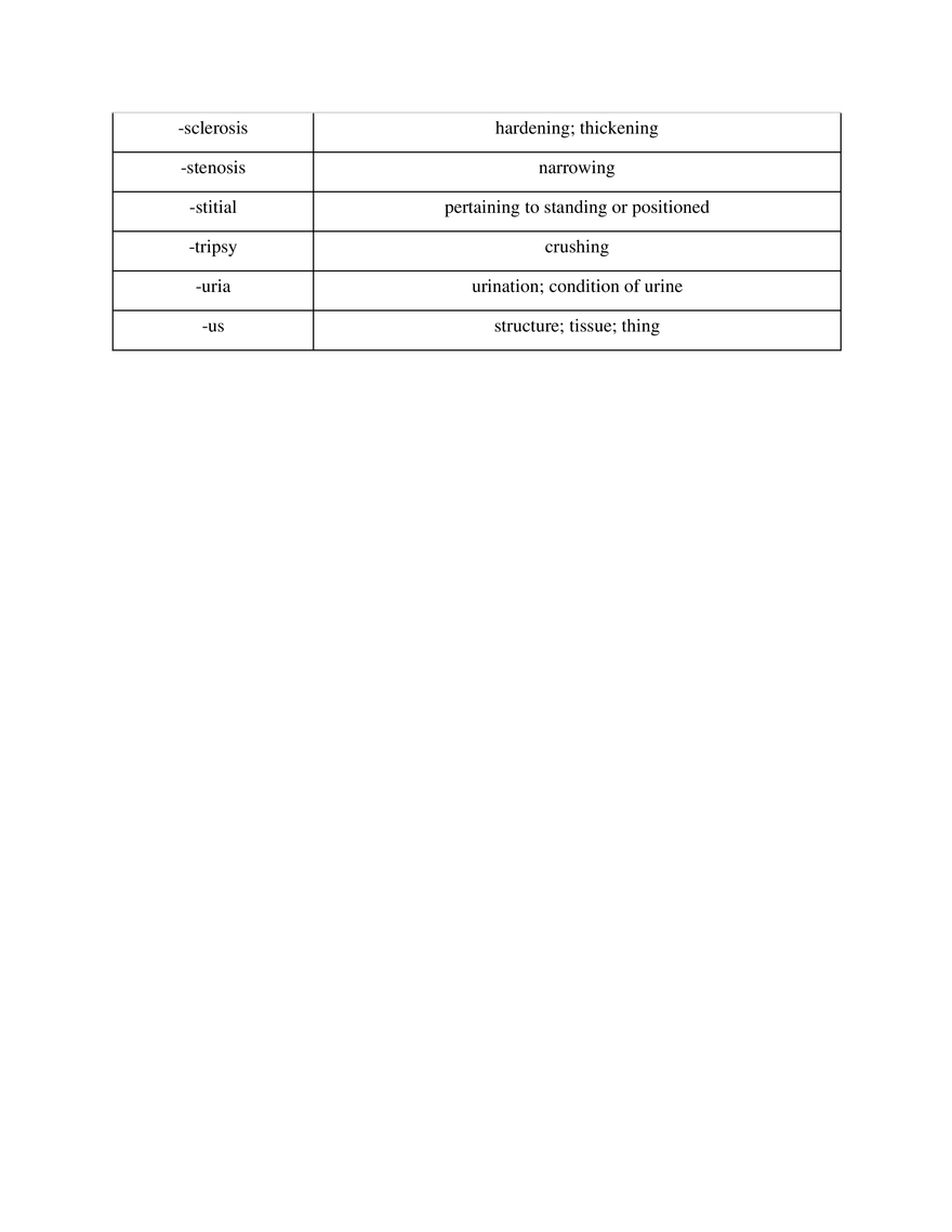 Medical Terminology Unit 11 Urinary System - Page 4