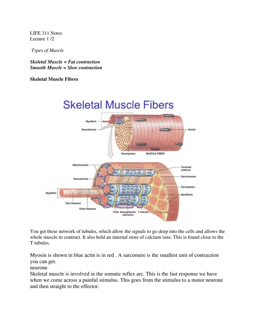 Neuromuscular Physiology Lecture 1 and Summary - Page 1