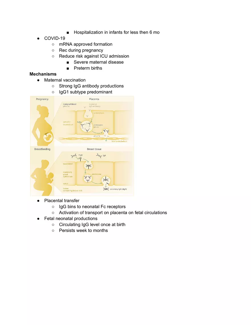 Maternal Immunization - Page 2