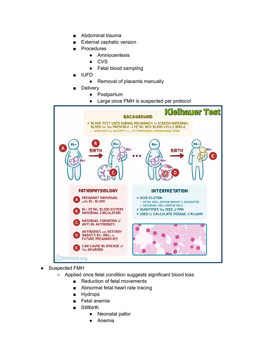 Kleinhauer Tests - Page 2