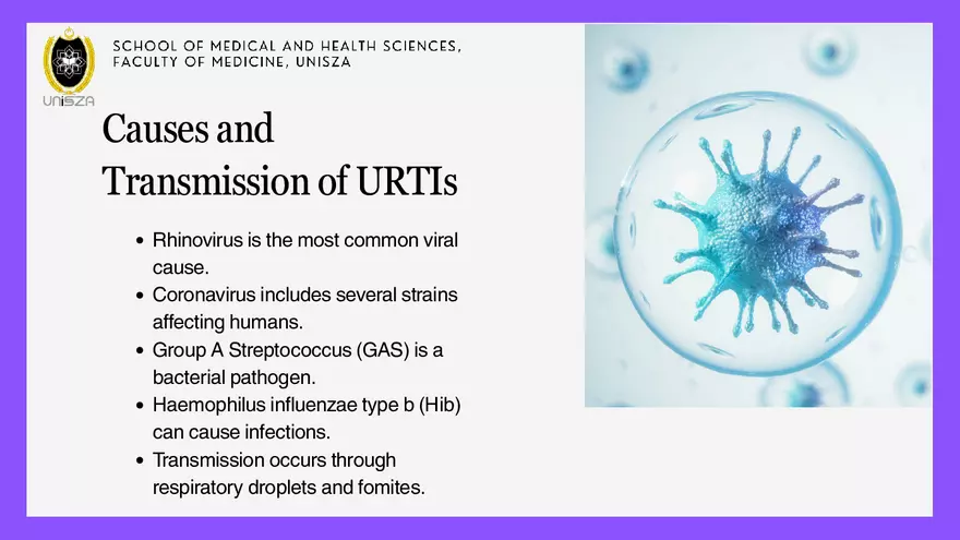 Presentation - Upper Respiratory Tract Infections - Page 4