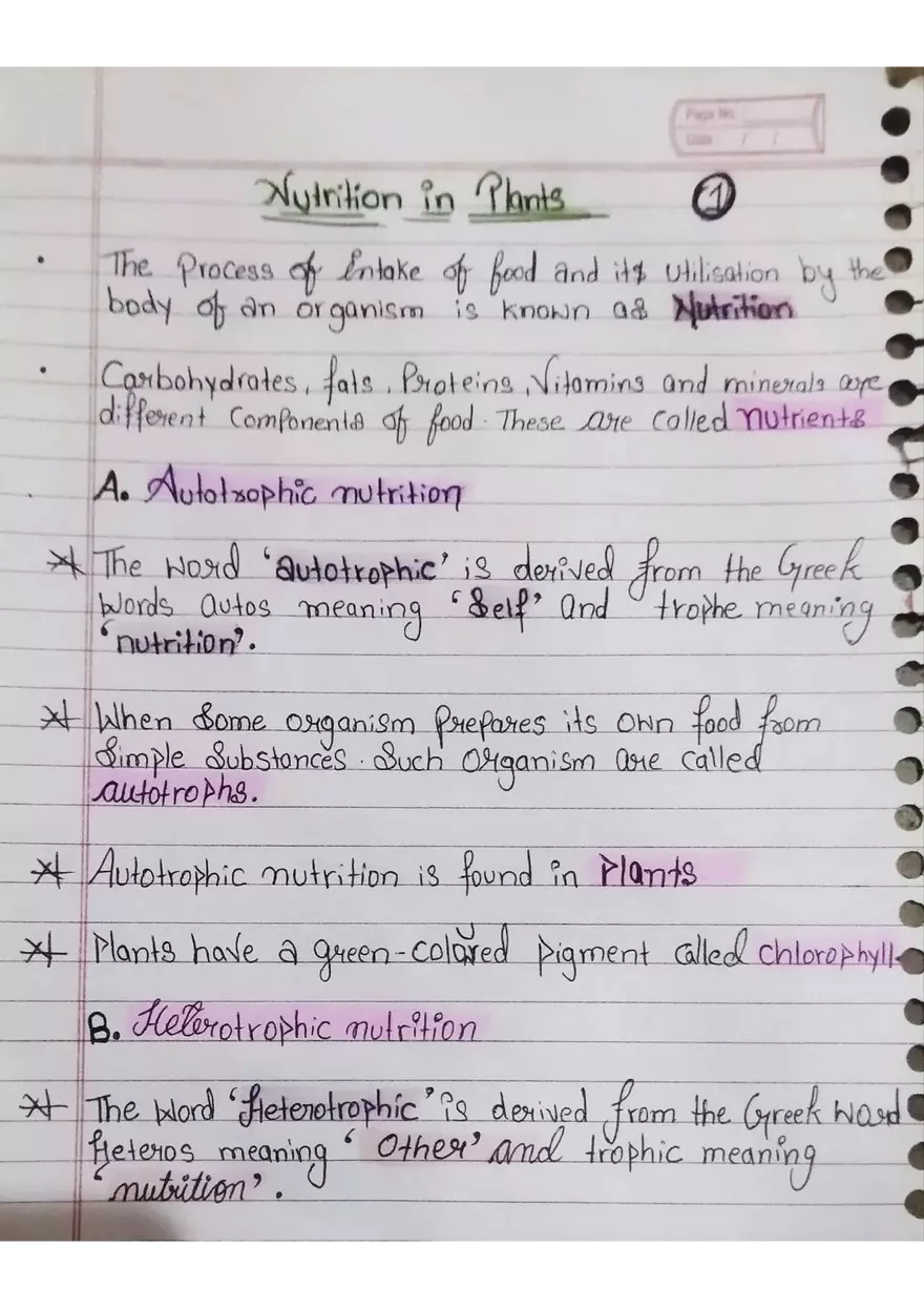 Nutrition in Plants - Page 1