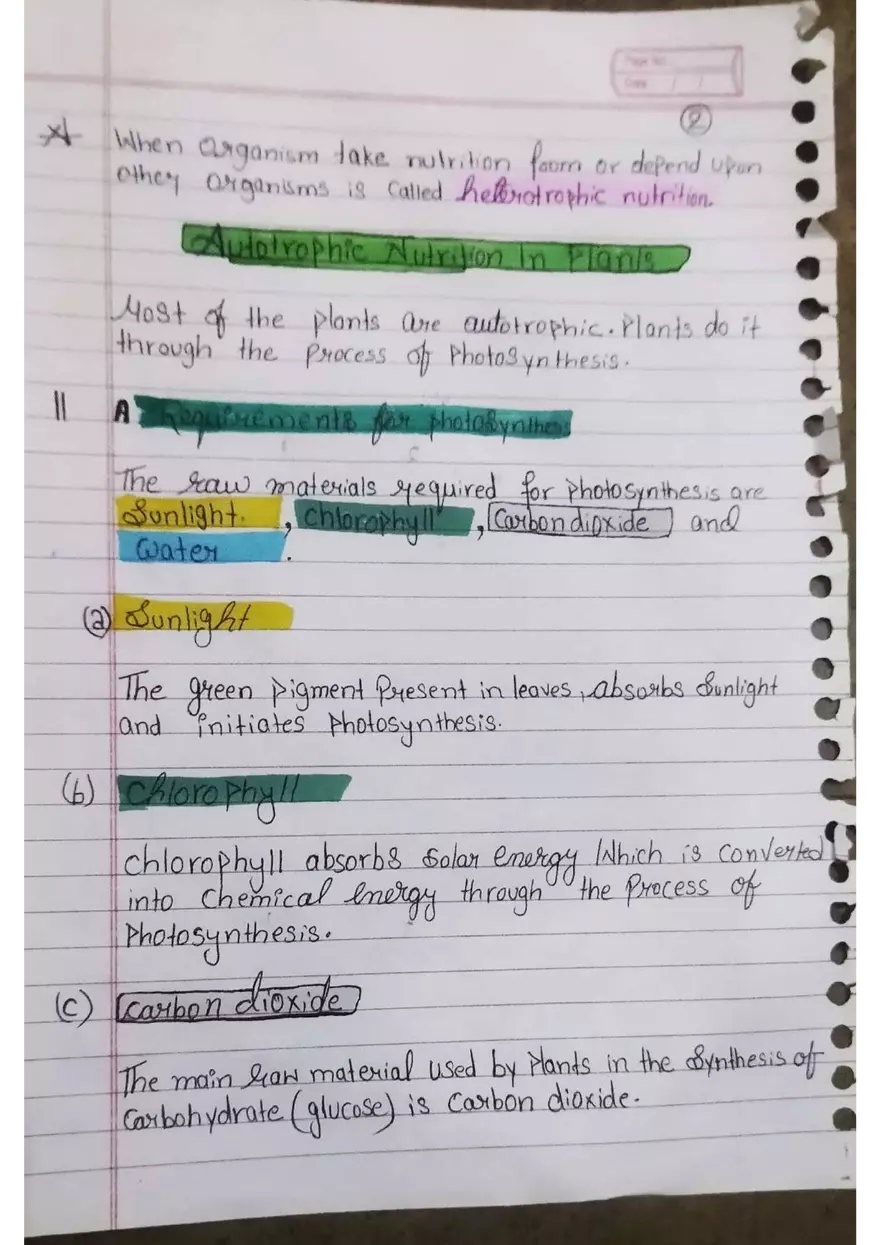 Nutrition in Plants - Page 2