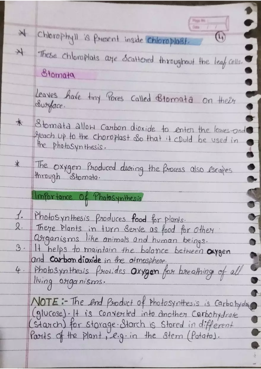 Nutrition in Plants - Page 4