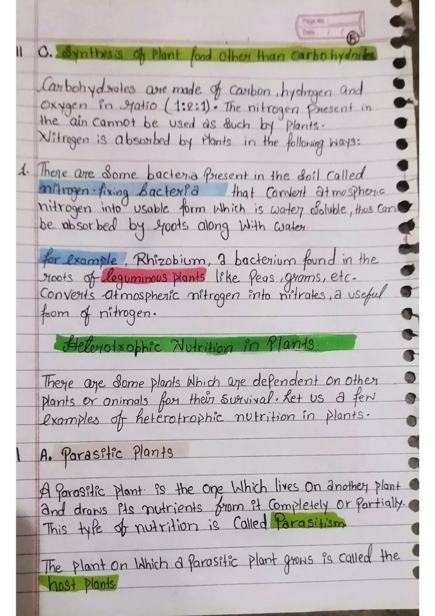 Nutrition in Plants - Page 5