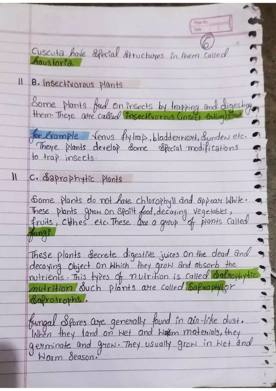Nutrition in Plants - Page 6
