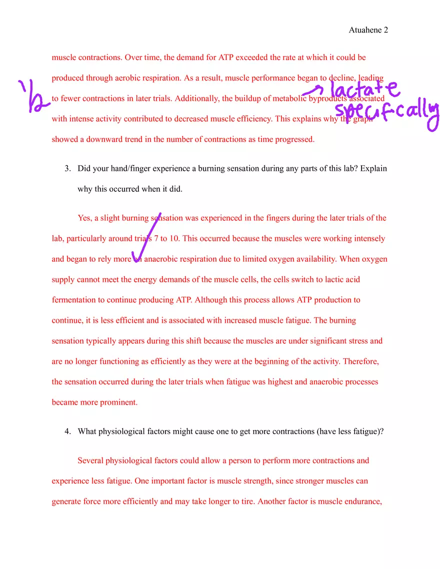 Anaerobic Respiration Clothespin Lab - Discussion Questions - Page 2