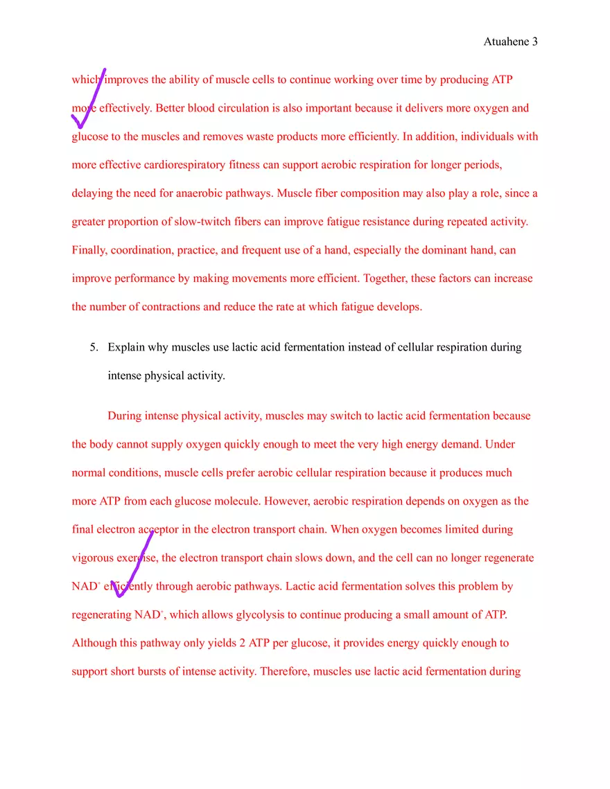 Anaerobic Respiration Clothespin Lab - Discussion Questions - Page 3