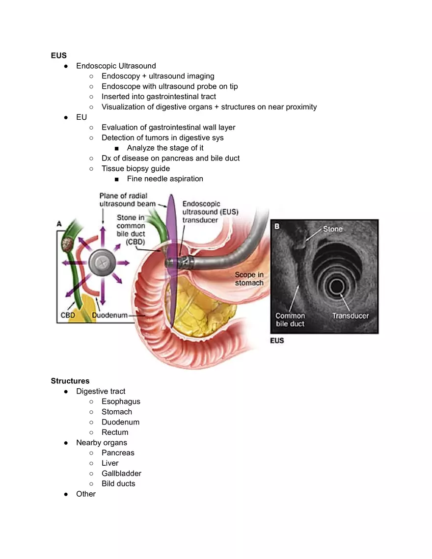 Endoscopic Ultrasound - Page 1