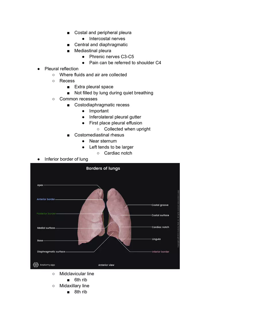 Pleural Cavity - Page 2