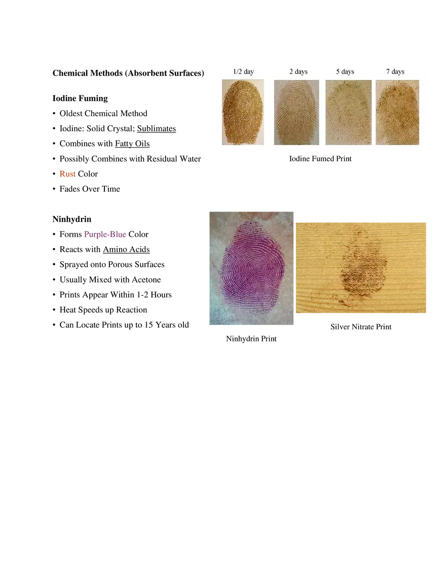 6. Fingerprints - Page 4