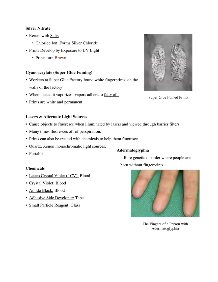 6. Fingerprints - Page 5