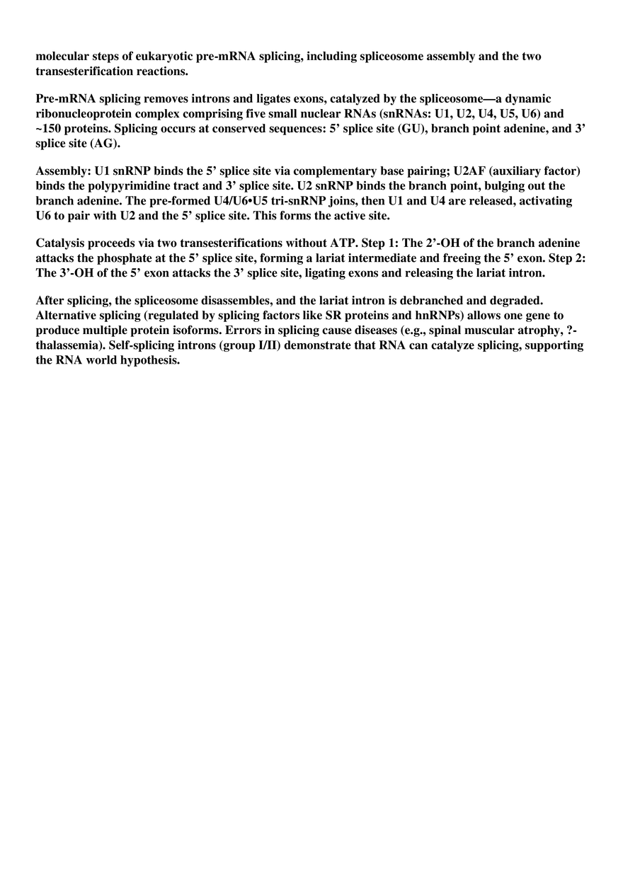Eukaryotic pre-mRNA - Page 1