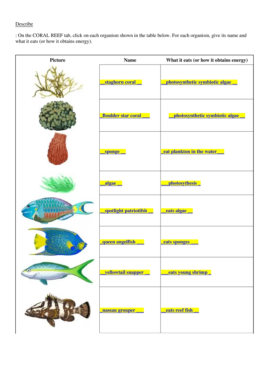 Day 67 & 68 Coral Reef Gizmo - Page 12
