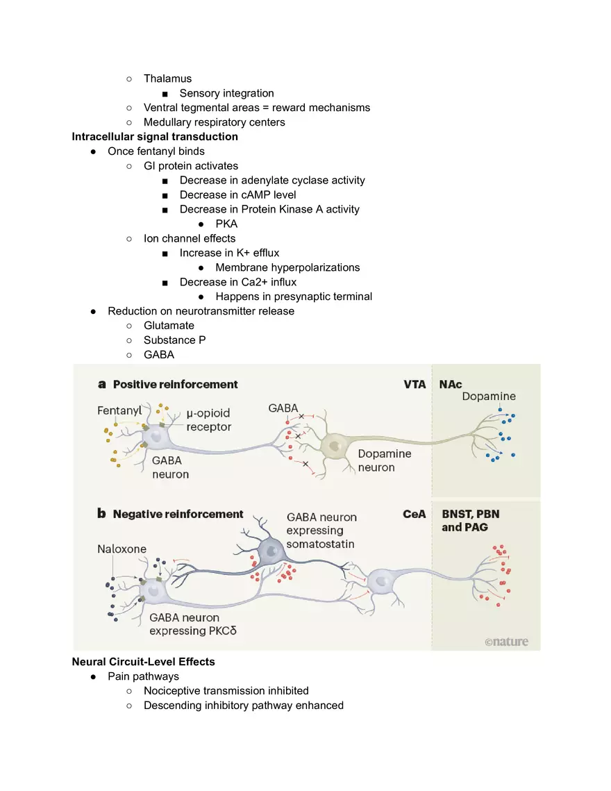 Fentanyl Effects - Page 2