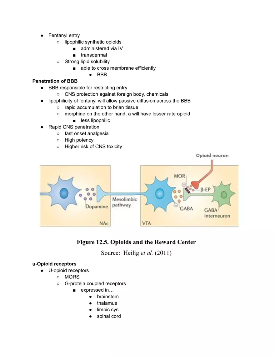 Fentanyl Effects - Page 4